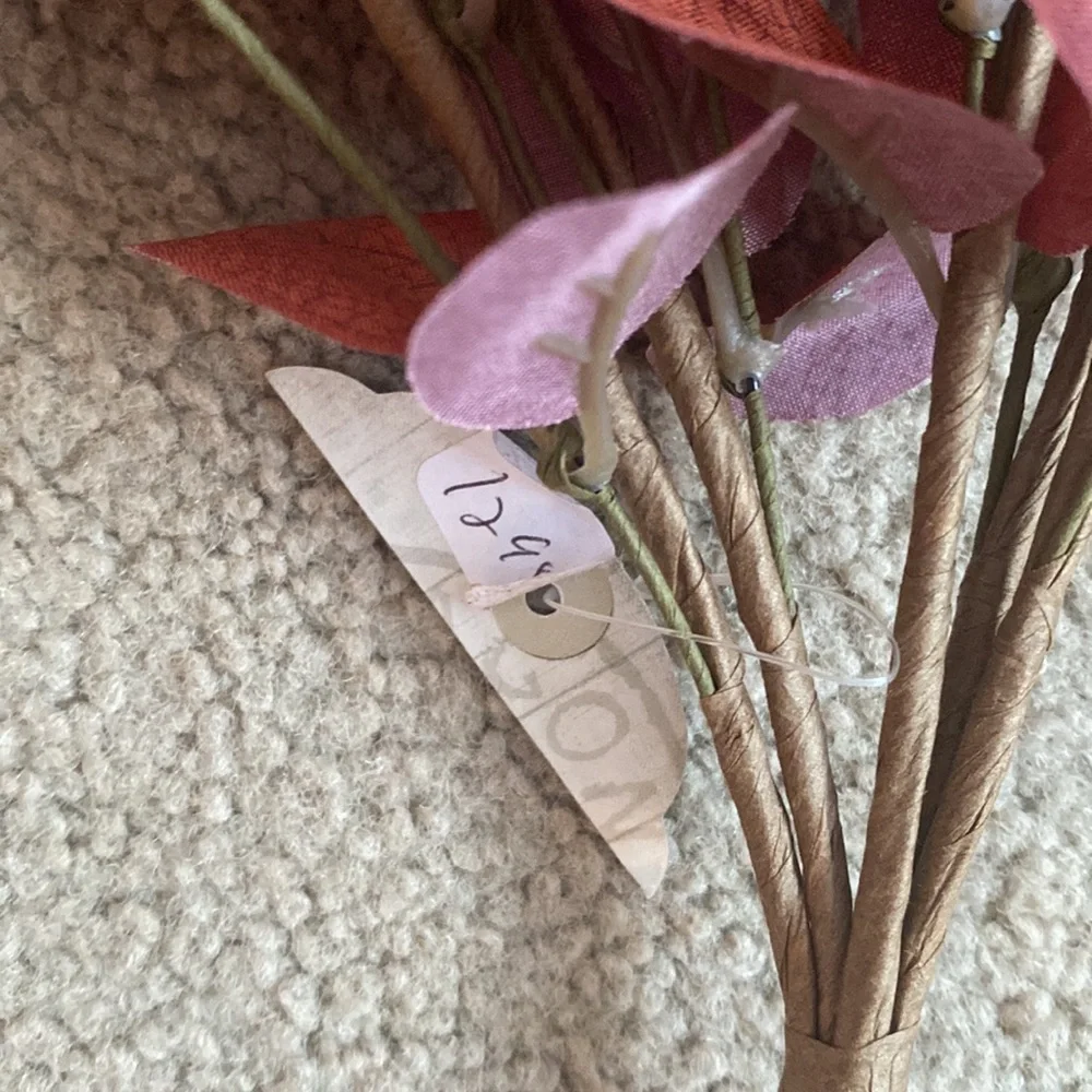 Ragoon House Rust/Burgundy Eucalyptus